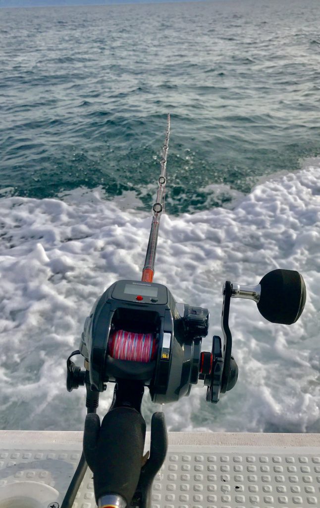 太刀魚釣りで使えるおすすめ電動リール厳選5機種を紹介 ツリイキタイ