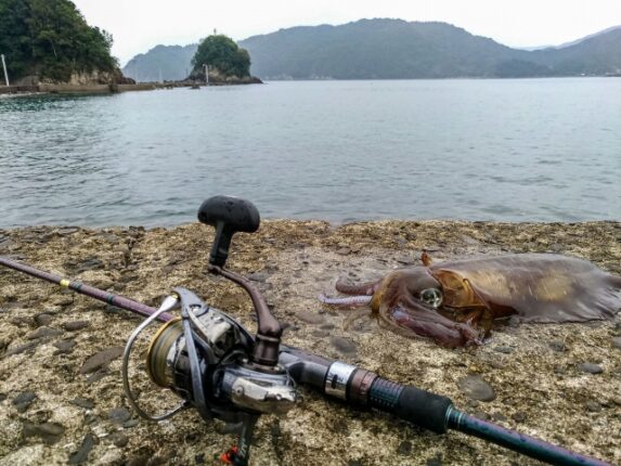 22年 エギングロッドのおすすめ人気機種8選 選び方のポイントも紹介 ツリイキタイ